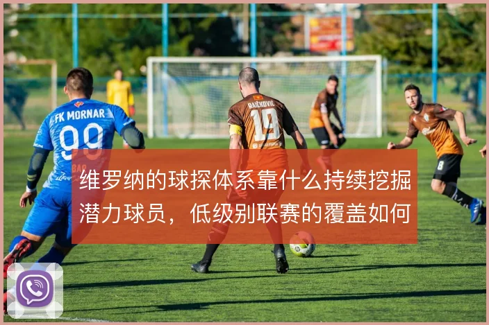 维罗纳的球探体系靠什么持续挖掘潜力球员，低级别联赛的覆盖如何做到